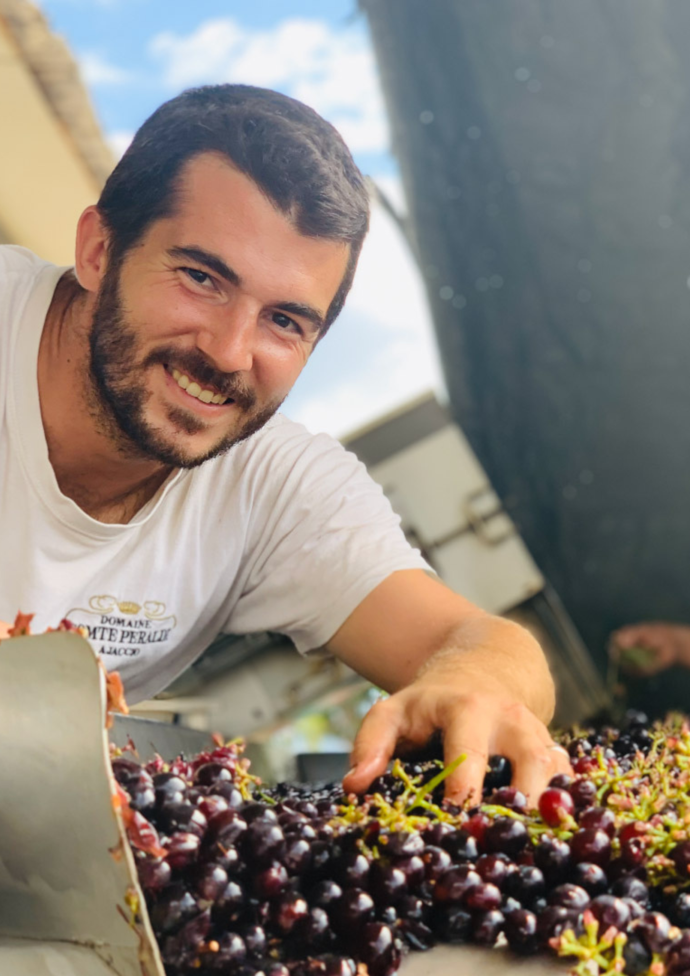 - recadrage OIT - 1 - OIT