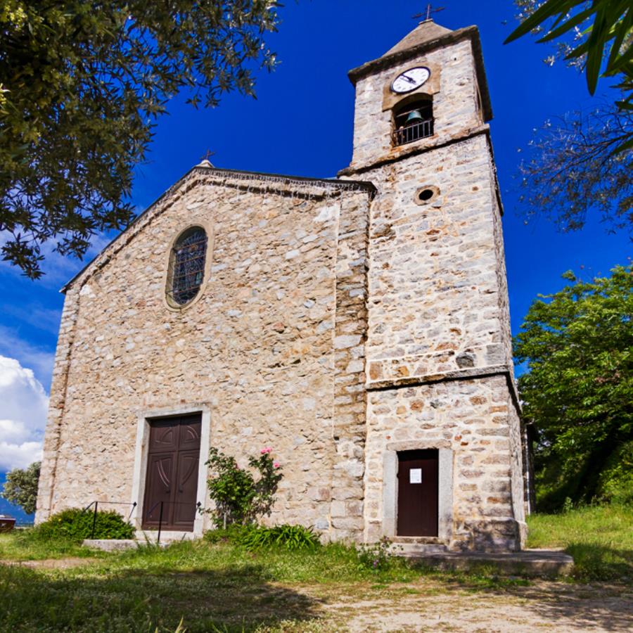 2020- Carbuccia église