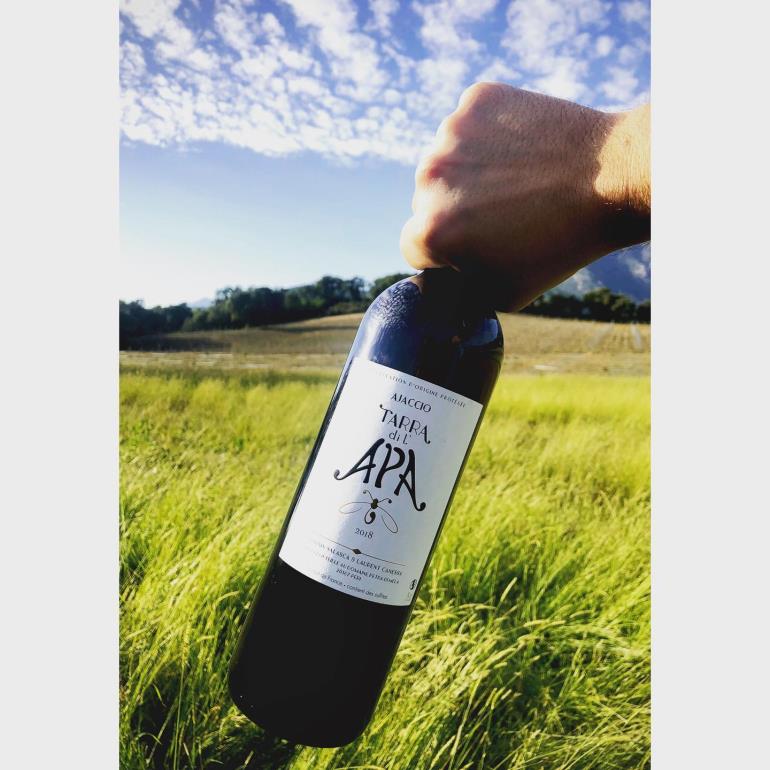 2020- Tarra Di L'Apa