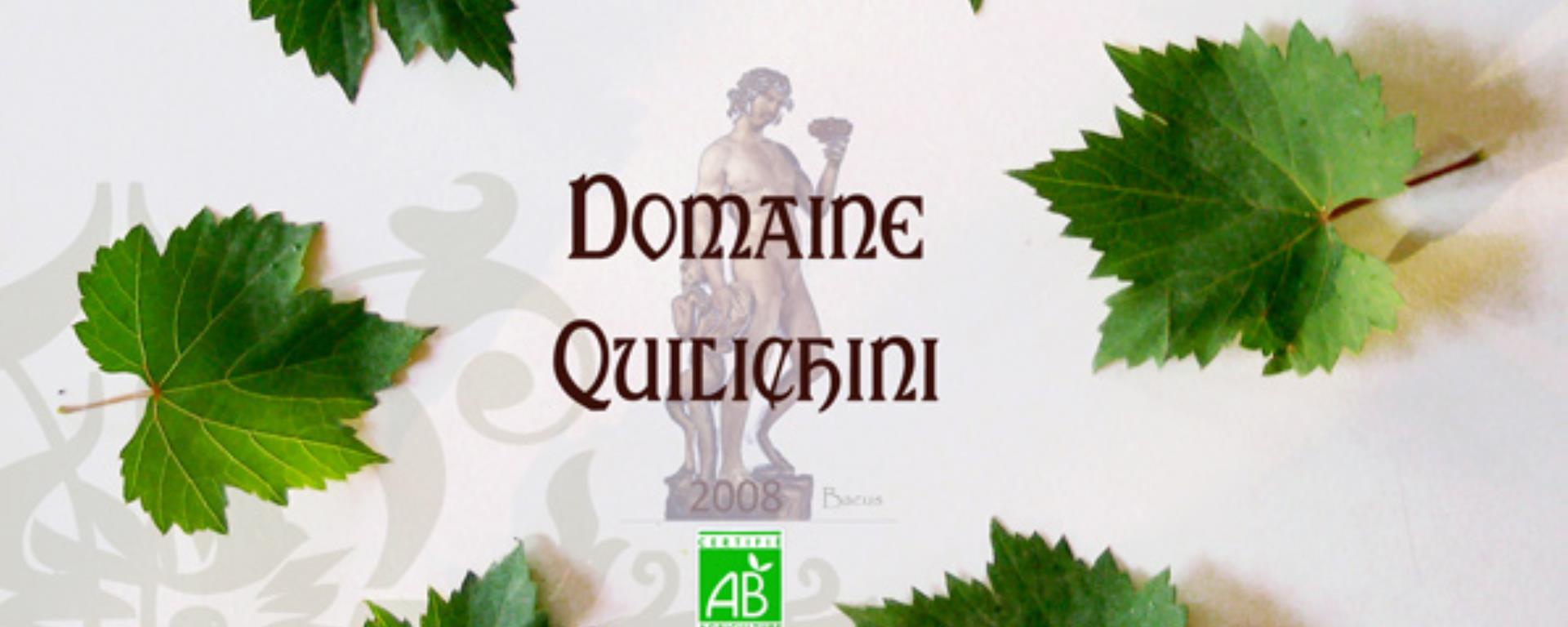 2022- Domaine Quilchini - logo site internet