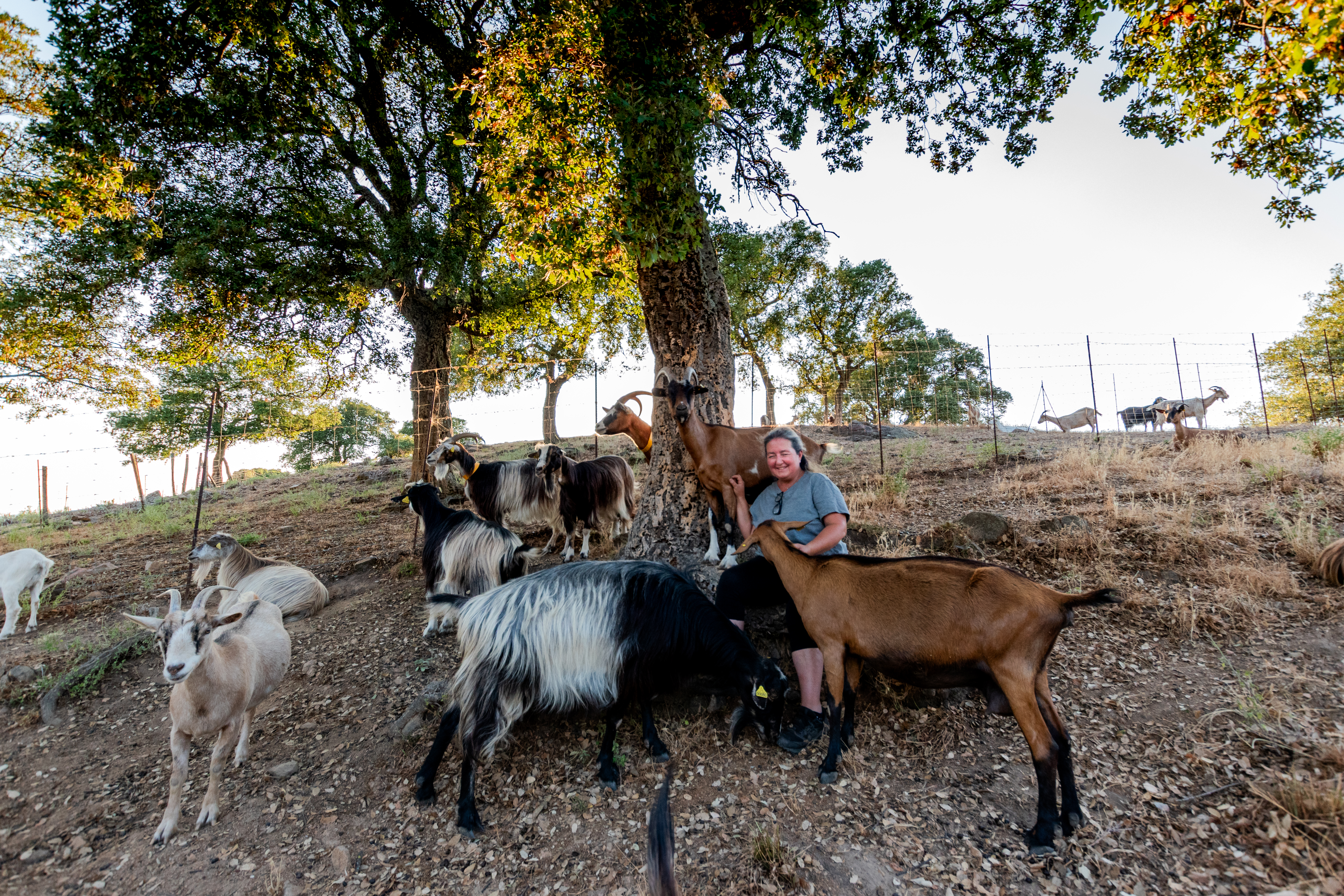 20250630-DSC_0134 - OIT