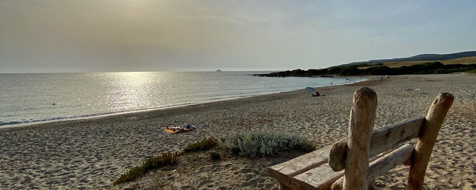 2021- Petit Capo- Banc  Coralie FP 