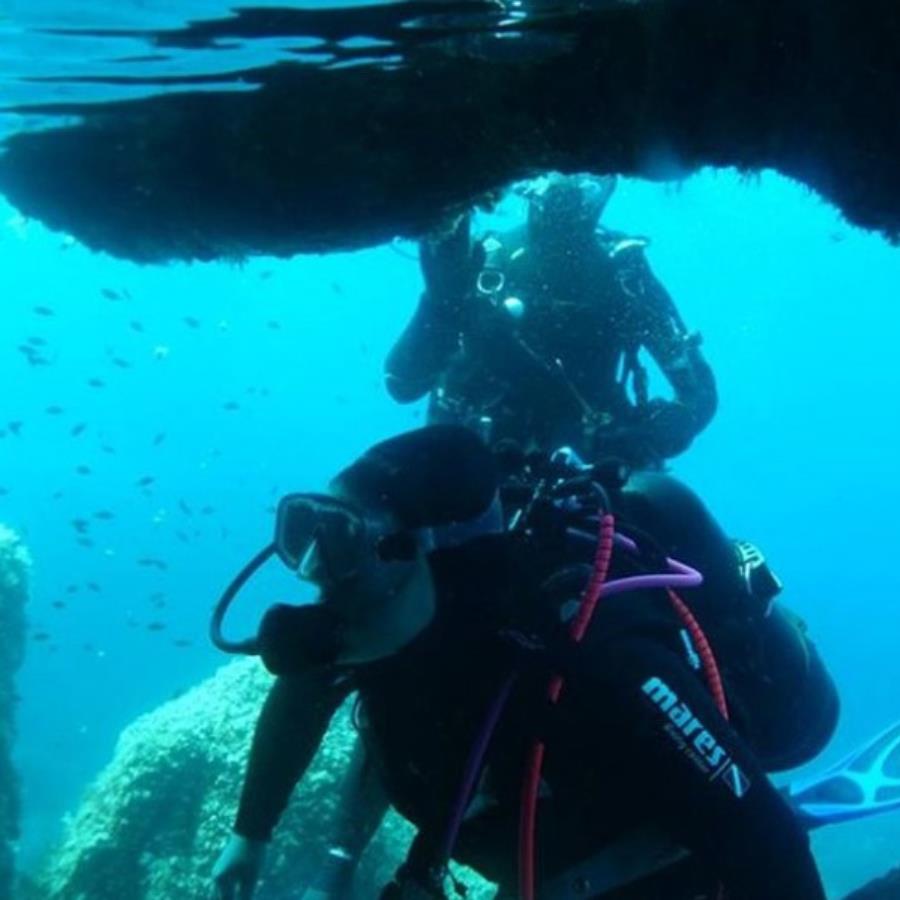 2018- E-ragnole- plongée sous-marine