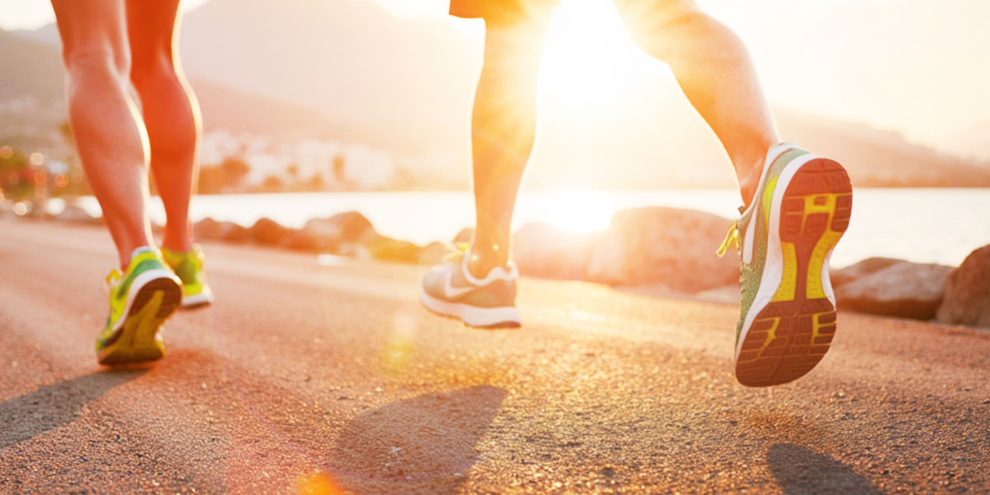 shutterstock_2676921249 (1) - shutterstock